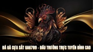 Đá Gà Cựa Sắt Ga6789 - Đấu Trường Trực Tuyến Đỉnh Cao