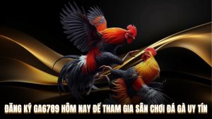 Đăng Ký Ga6789 Hôm Nay Để Tham Gia Sân Chơi Đá Gà Uy Tín