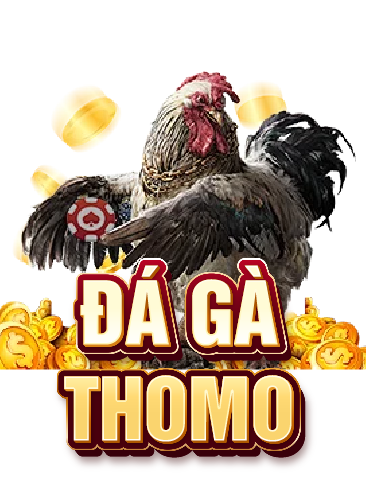 Đá gà Thomo