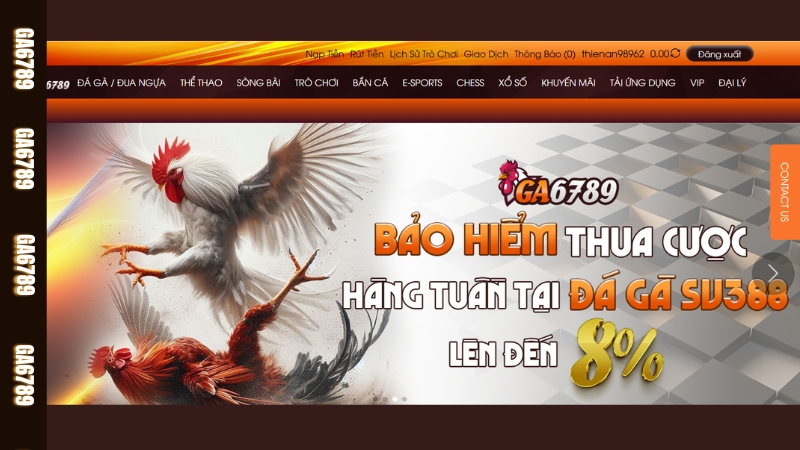 Giới thiệu Đá gà cựa dao Ga6789